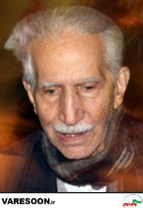 محمود شاهرخی
